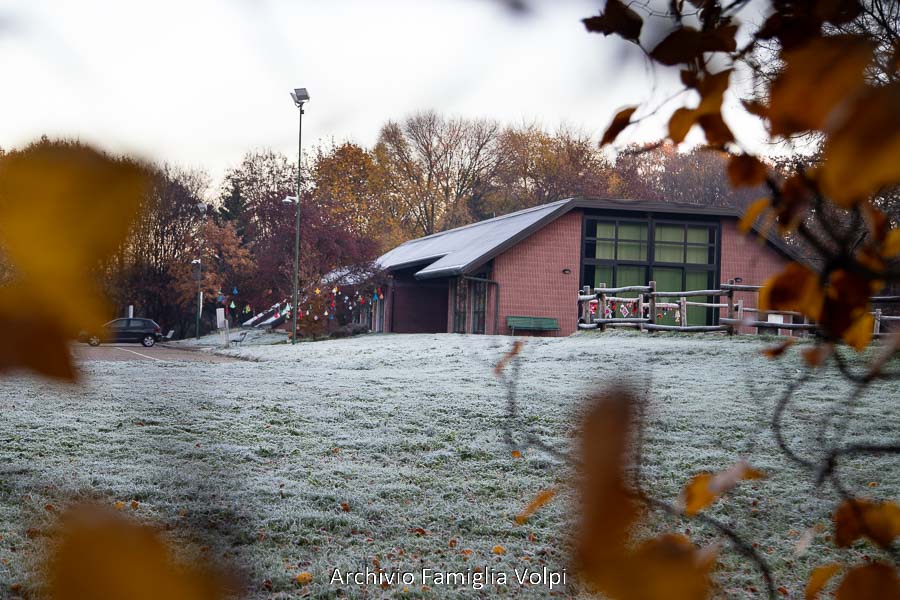 Cultura e società nell'Italia degli anni '70 Cultura e società nell'Italia degli anni '70