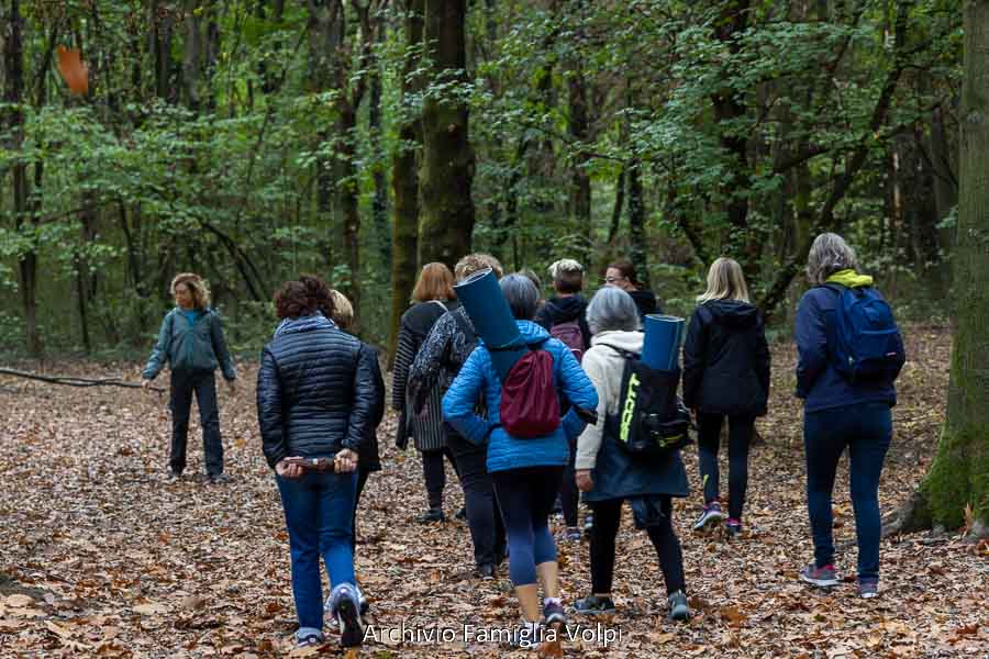 Le foreste, il respiro delle nostre città