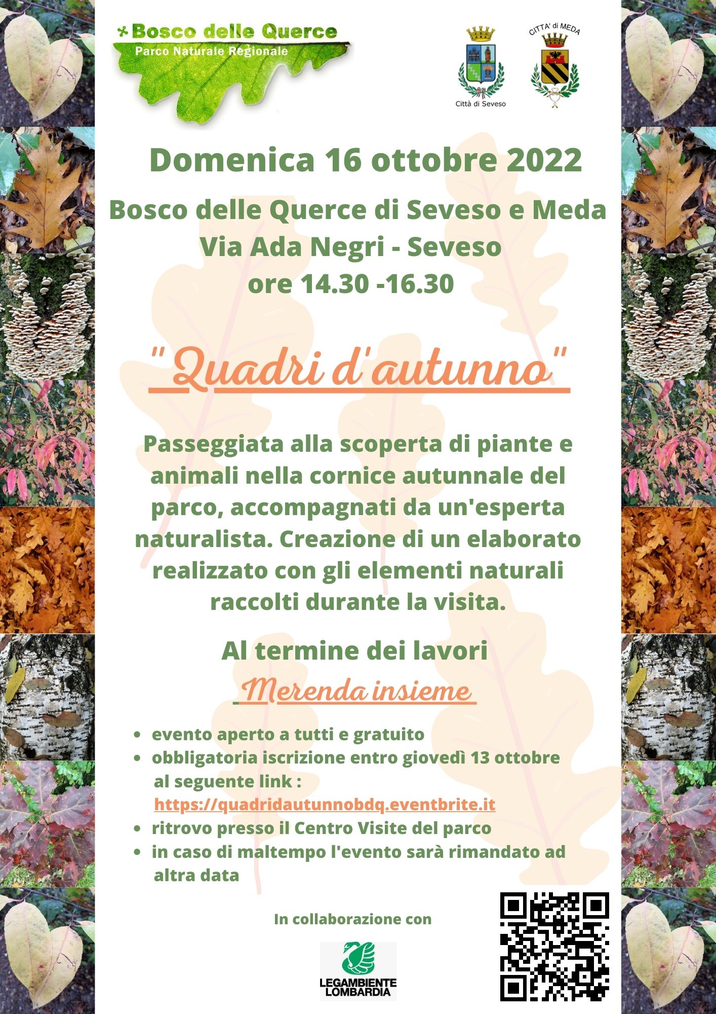 Quadri d'autunno